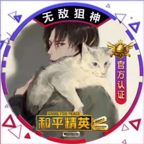 超绝！和平精英头像大集合来袭 其它头像 第53张