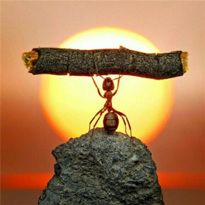 100张励志头像大集合，正能量满满，免费抱走！ 其它头像 第8张