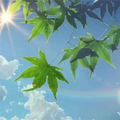 100张励志头像大集合，正能量满满，免费抱走！ 其它头像 第31张