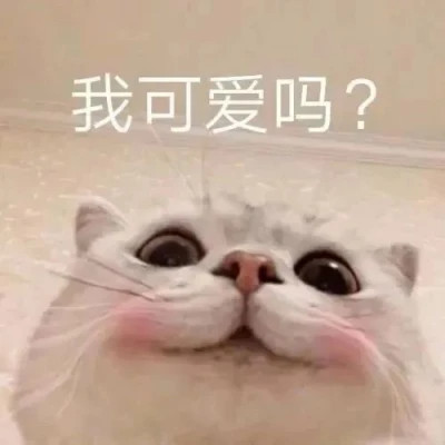 聊天必备!100张超绝表情包头像来袭