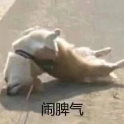 聊天必备！100张超绝表情包头像来袭 其它头像 第33张