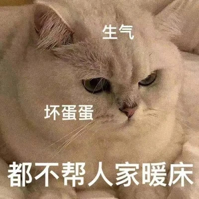 聊天必备！100张超绝表情包头像来袭 其它头像 第69张