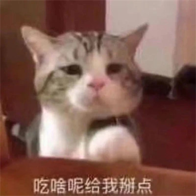 聊天必备！100张超绝表情包头像来袭 其它头像 第79张