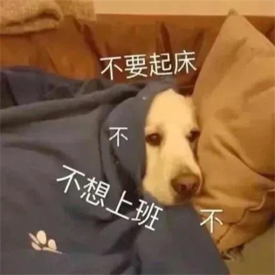 聊天必备！100张超绝表情包头像来袭 其它头像 第80张