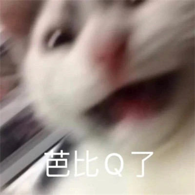聊天必备！100张超绝表情包头像来袭 其它头像 第81张