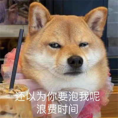 聊天必备！100张超绝表情包头像来袭 其它头像 第82张