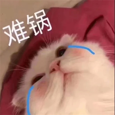 聊天必备！100张超绝表情包头像来袭 其它头像 第99张