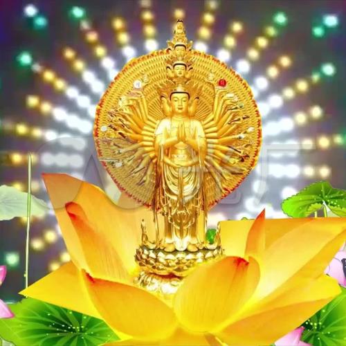 100张超绝！适合长期不换的头像图片大全 其它头像 第49张