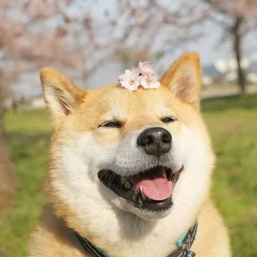 必看！100张高清永久吸引人头像精选 其它头像 第36张