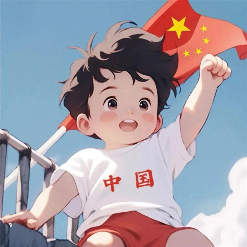 爱国头像图片精选，承载着深深的爱国之情 其它头像 第4张