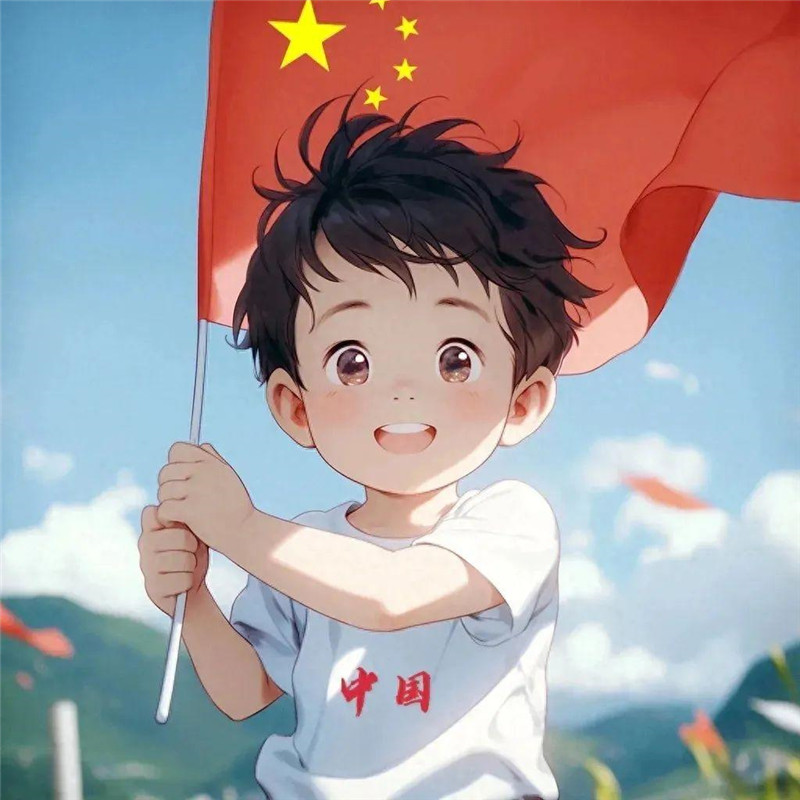 爱国头像图片精选，承载着深深的爱国之情 其它头像 第5张