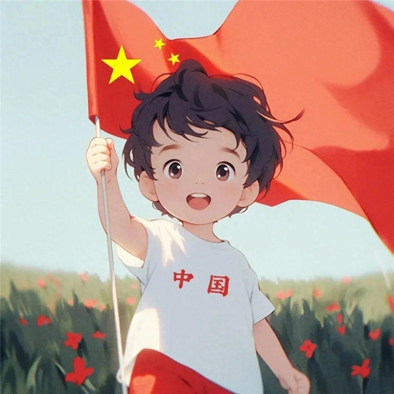 爱国头像图片精选，承载着深深的爱国之情 其它头像 第3张