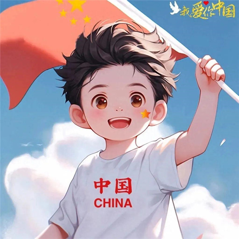 爱国头像图片精选，承载着深深的爱国之情 其它头像 第16张