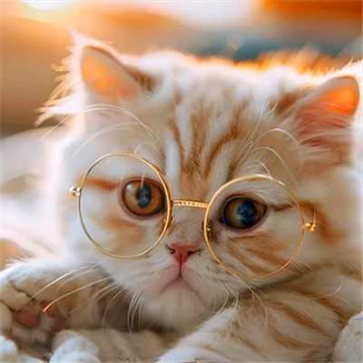 100张超萌猫猫头像图片大集合！萌到心都化啦 动物头像 第24张