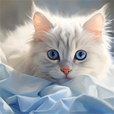 100张超萌猫猫头像图片大集合！萌到心都化啦 动物头像 第55张
