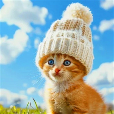 100张超萌猫猫头像图片大集合！萌到心都化啦 动物头像 第77张